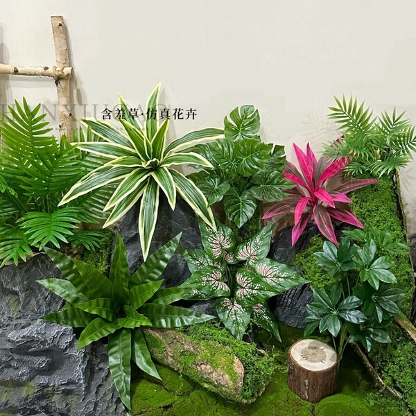 新款仿真植物手感千年木鸟巢蕨彩铁多款叶材室内景观设计装饰绿植