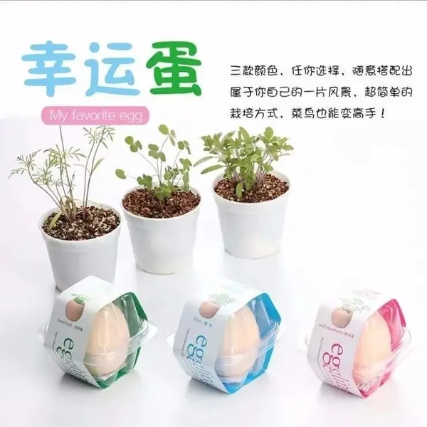 世界环境日小礼物仿真鸡蛋儿童植物种植观察盆栽盲盒玩具礼品奖励