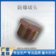 Carbon steel explosion-proof plug G1/2 pipe joint G3/4 sealing head 1 inch explosion-proof pipe plug 4 minutes/6 minutes wire plug