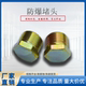 Carbon steel explosion-proof plug G1/2 pipe joint G3/4 sealing head 1 inch explosion-proof pipe plug 4 minutes/6 minutes wire plug