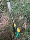 Digging shepherd's purse and garlic shovel gardening and planting flowers and plants, special iron shovel planting vegetables, weeding, soil, weeding, outdoor wild vegetables digging artifact