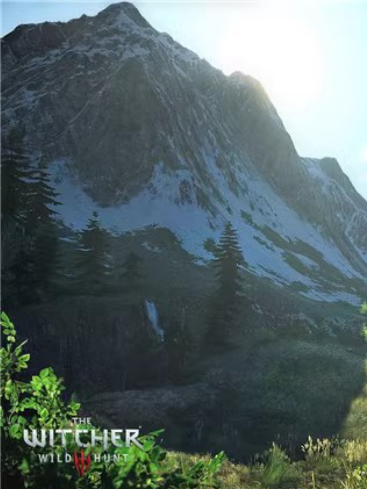 즉시 배송 가능한 NINTENDO 스위치 게임 NS THE WITCHER 3 WILD HUNT 전체 DLC 연간 에디션 전체 버전 중국어