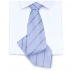 u=1666445302,3388803701&fm=0&g