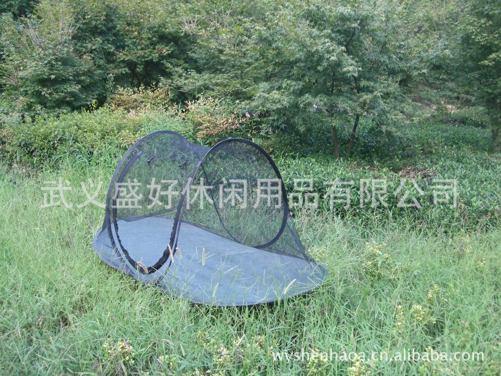 DSCF5793