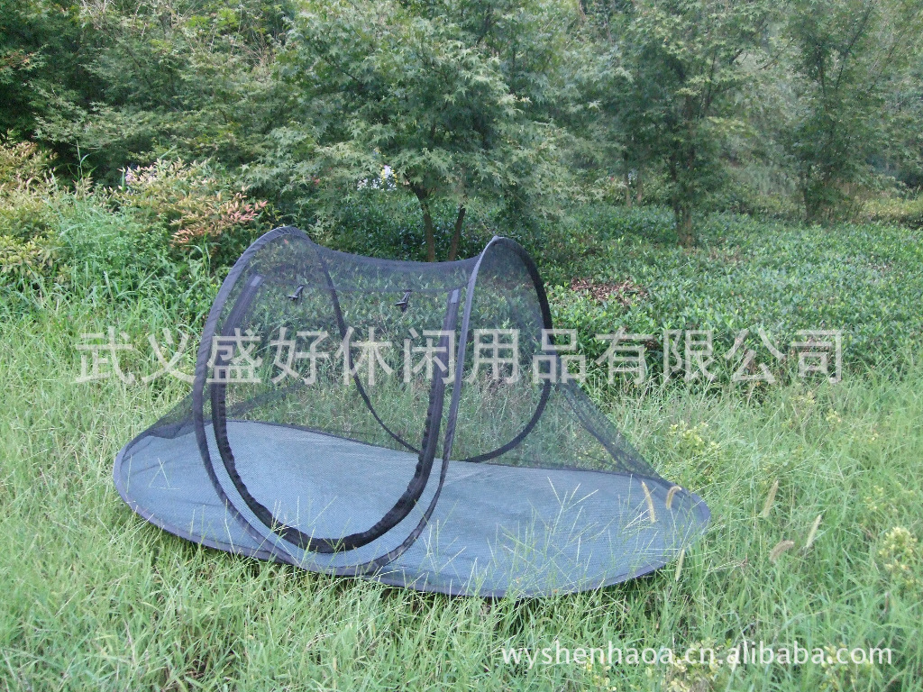 DSCF5796