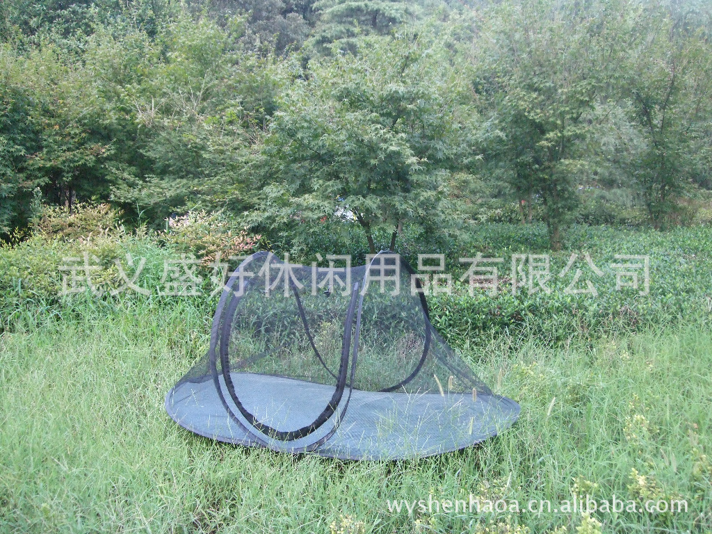 DSCF5797