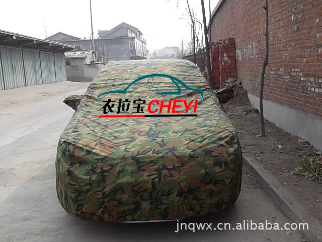 拉金 银色 001 (4)