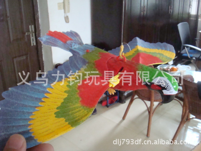 DSC05632