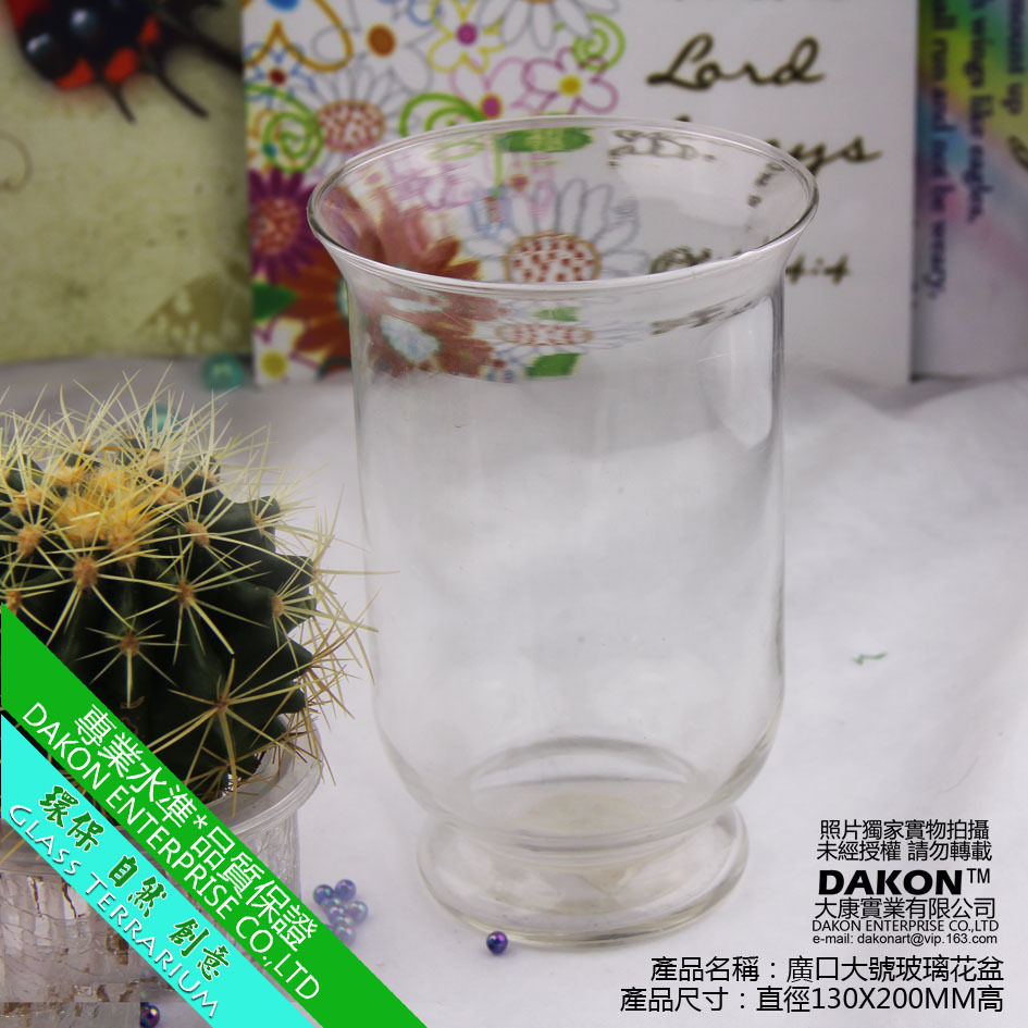 廣口大號玻璃花盆-2