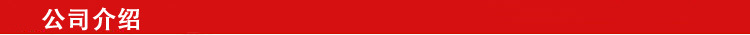 公司介绍