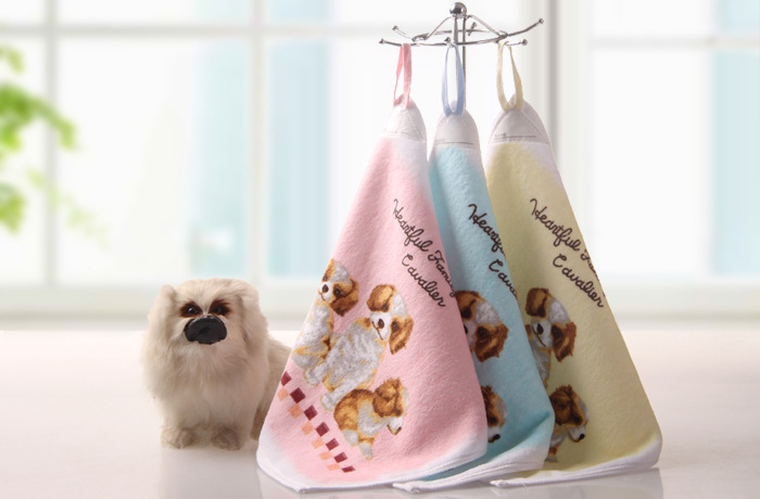 T2bDPuXbhbXXXXXXXX_!!866877365