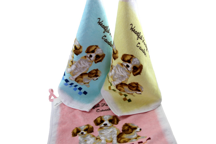 T2T_niXhBbXXXXXXXX_!!866877365