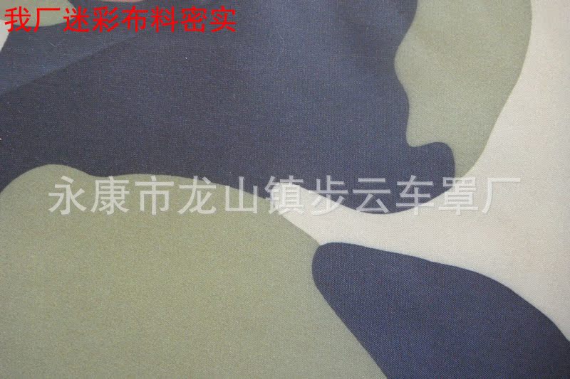 DSC08223_副本_副本