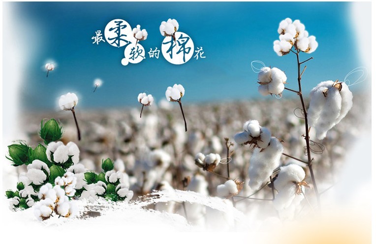 ]]H1E6M)M~4(K}Y6@_I{178