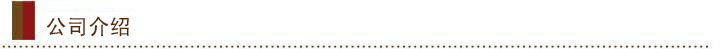 公司介绍