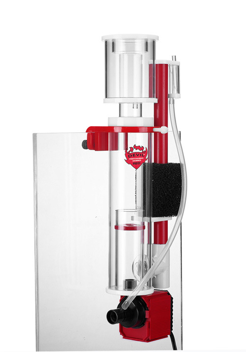 _MG_9898 副本1 副本