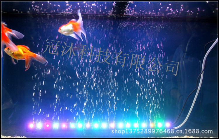 T2jPuMXiJbXXXXXXXX_!!498452131