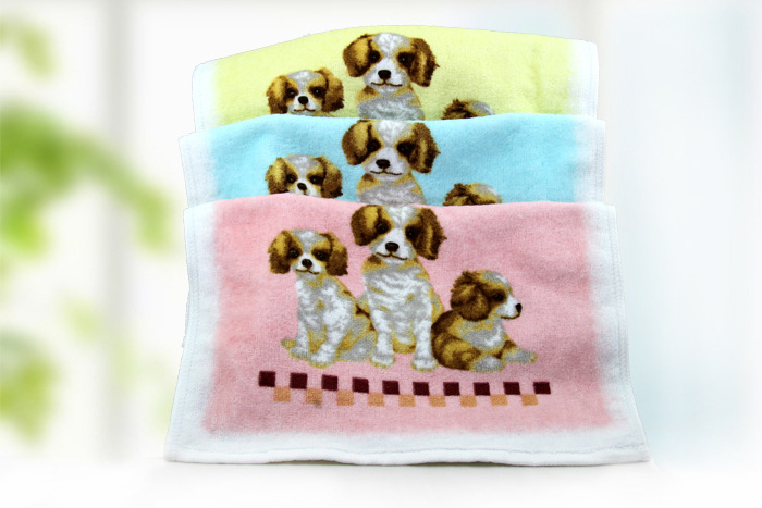 T2rLIfXoRXXXXXXXXX_!!866877365