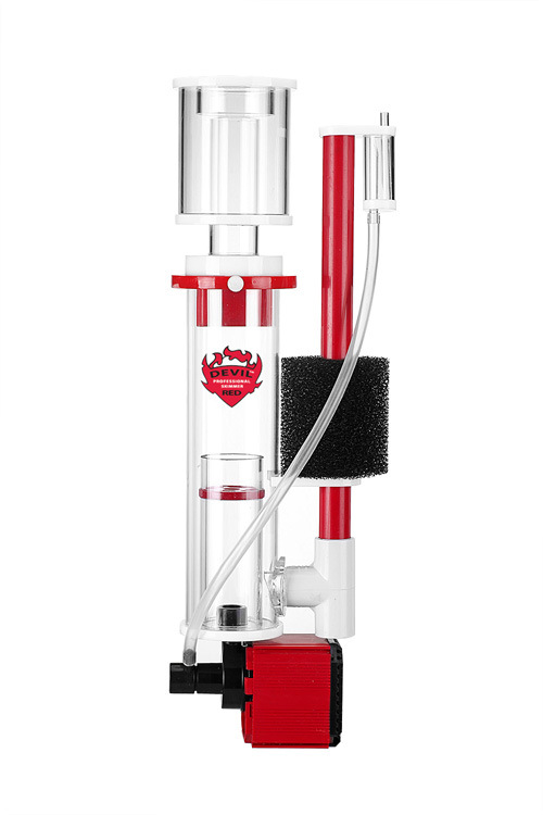 _MG_9895 副本副本 副本