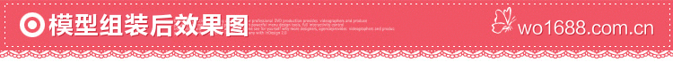 模型组装后效果图