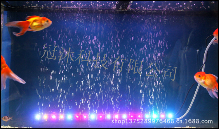 T2jBKvXiBXXXXXXXXX_!!498452131