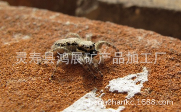 012B51A59D6A2319FF8080812B4FA7