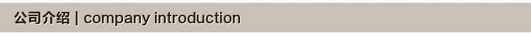 公司介绍