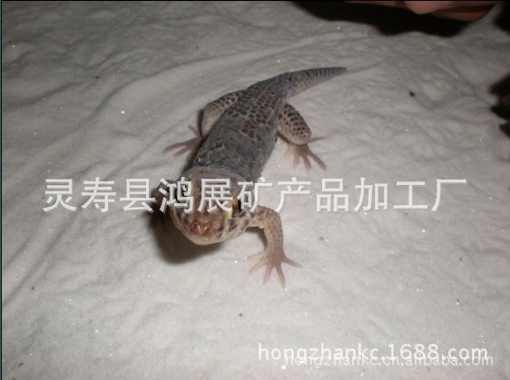 776708185_1224458099[1]