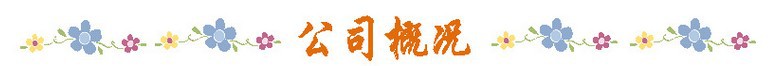 公司概括
