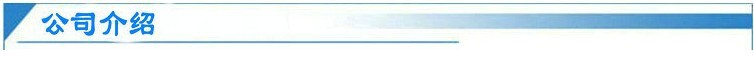公司介绍