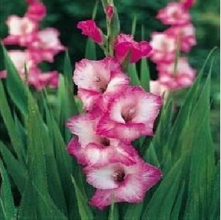 QQ图片20140218201258