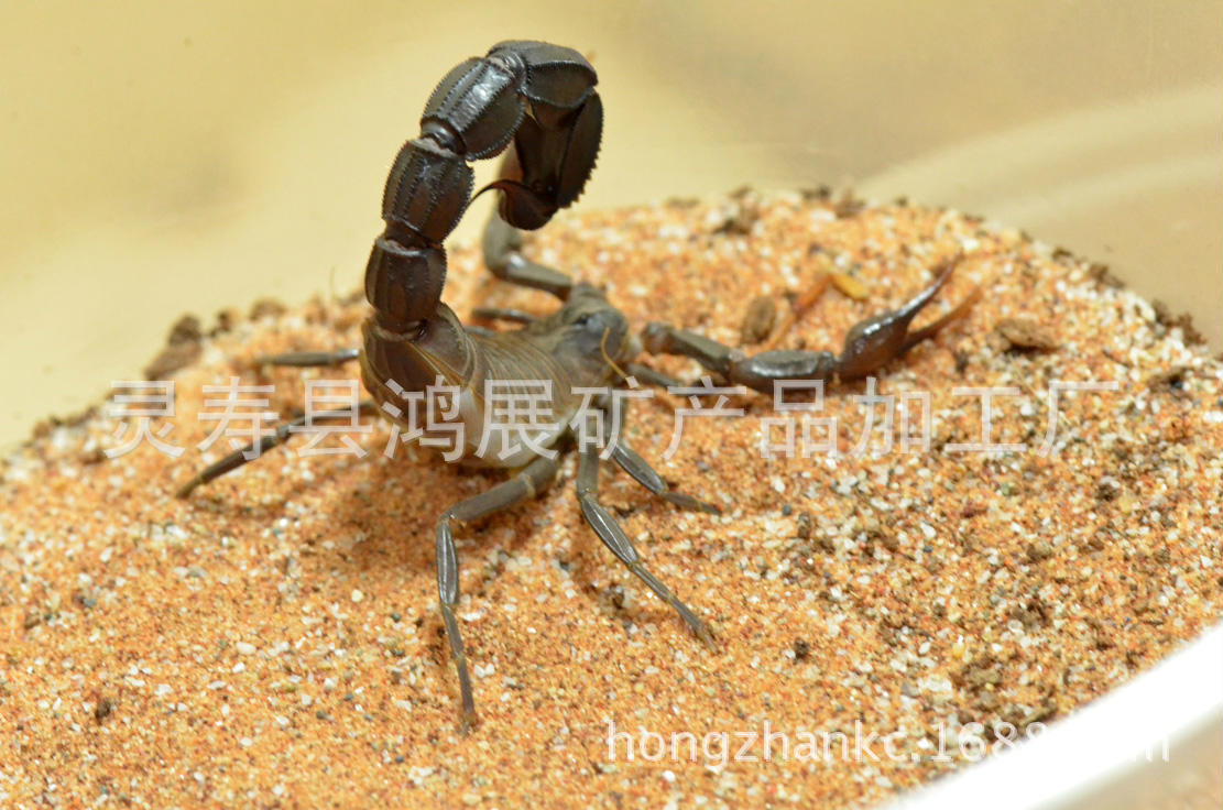 34fae6cd7b899e513ab2a0da43a7d9