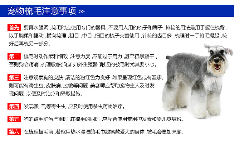 宠物梳注意