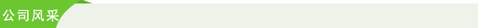 公司风采