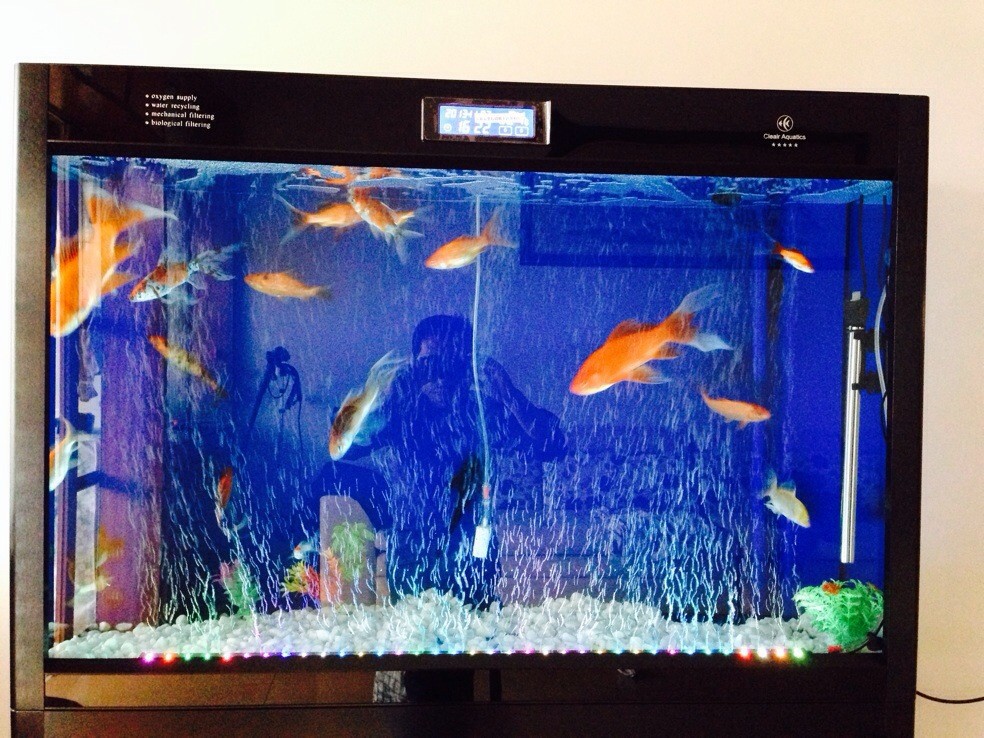 QQ图片20131103155025