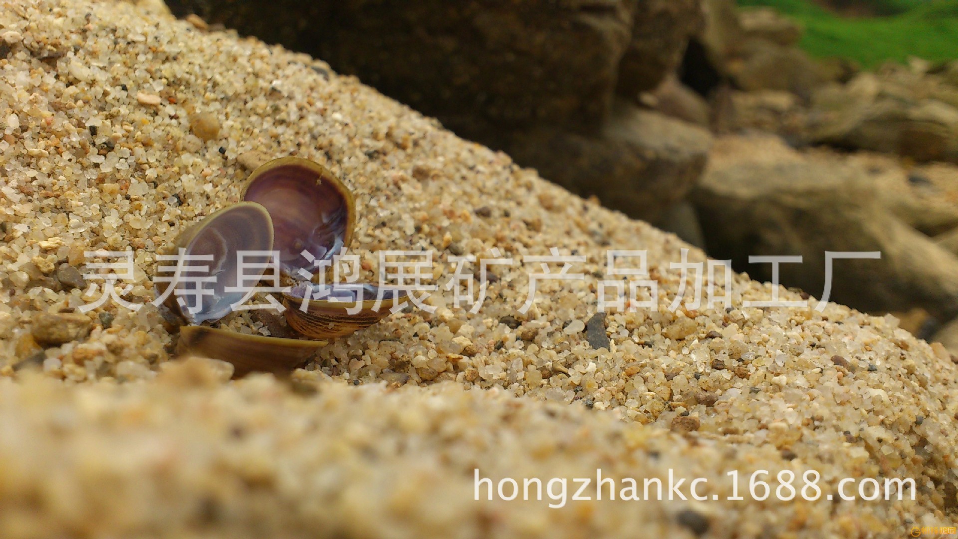 120408000616369ab0e062a09c[1]