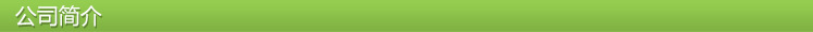 公司简介