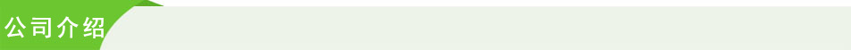 公司介绍