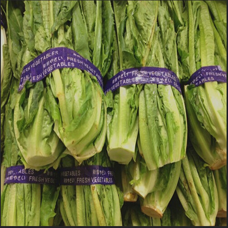 )DU$ISE1LPH{QSDDVI]D@P5