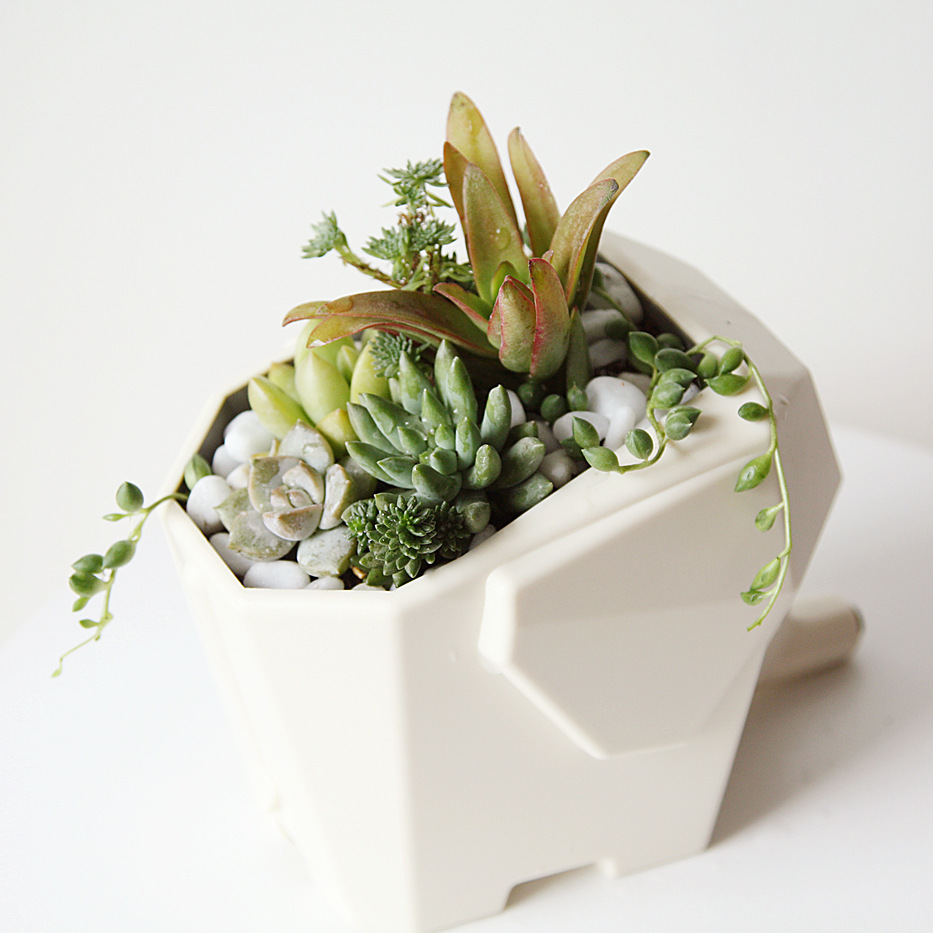 1707344270_1308579612