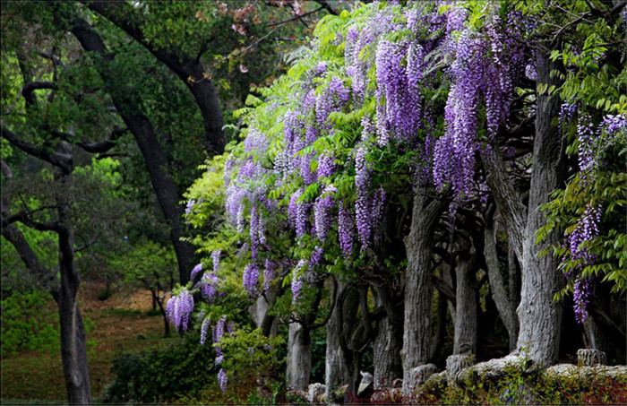 20130408161229_78922