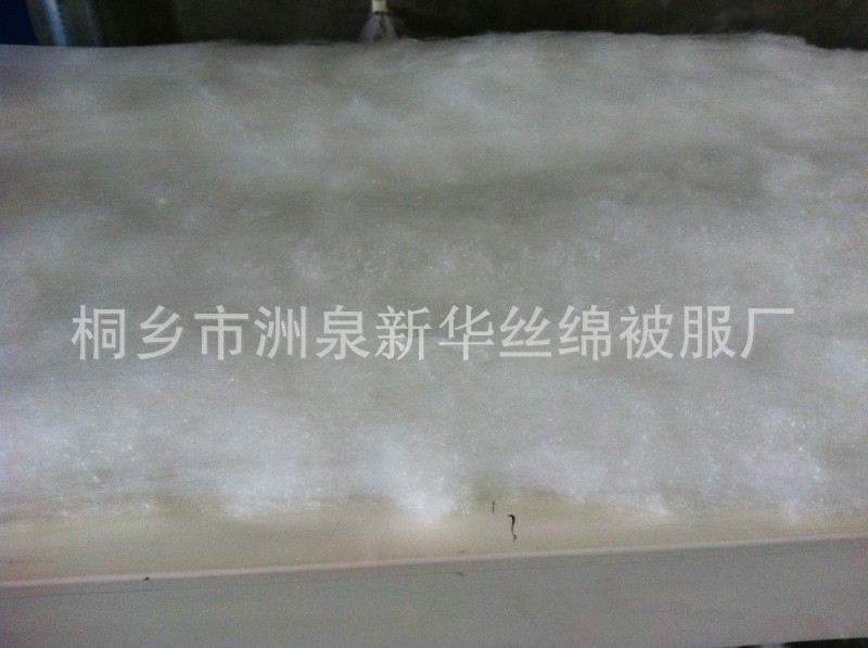 999233273_1036998074_副本