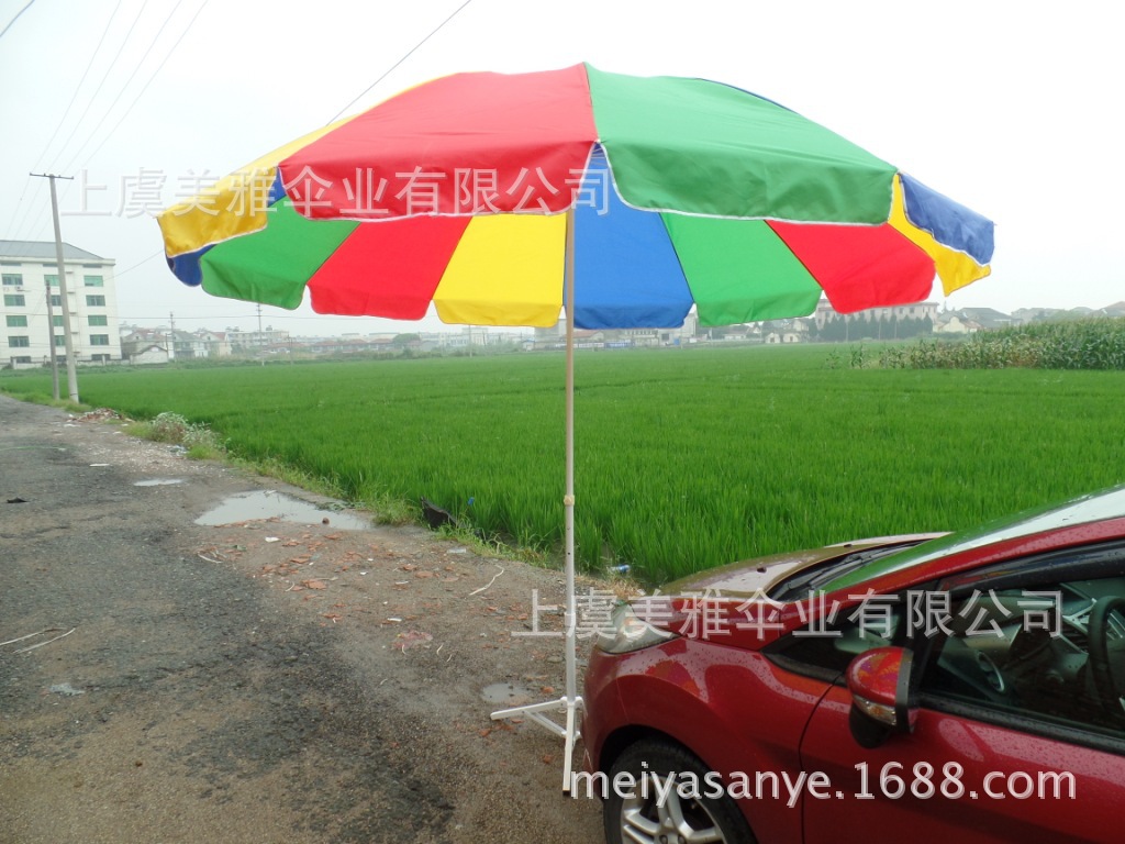 SAM_0733