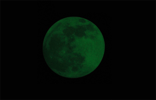 TB2VdxXbXXXXXbXXXXXXXXXXXXX_!!