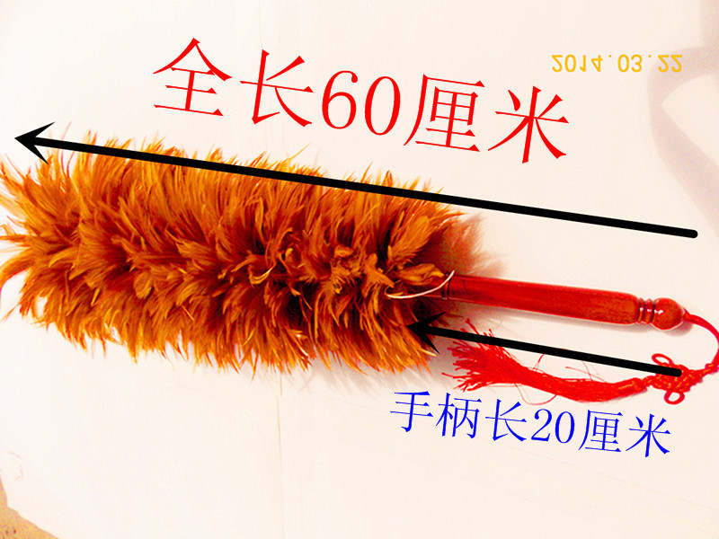 DSCN0889_副本_副本