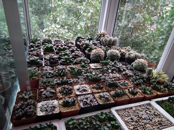 T21l88XahbXXXXXXXX_!!21591151