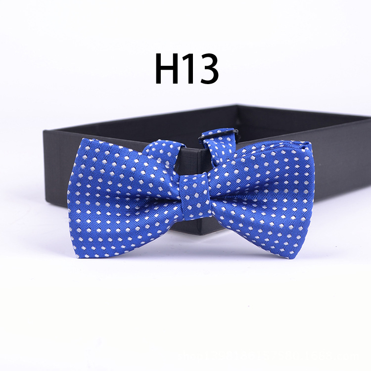 H13