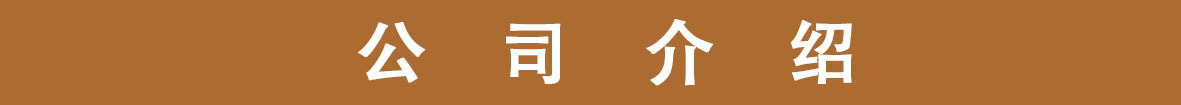 公司介绍
