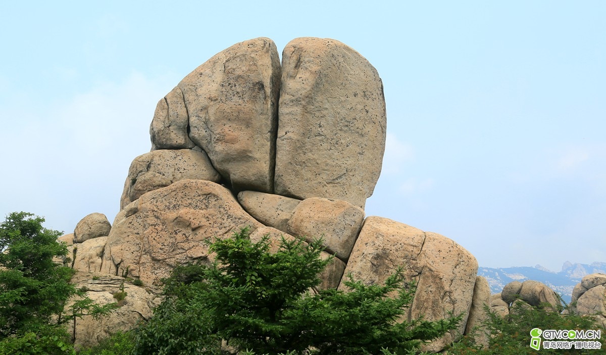 201941wsf512windzimlvn