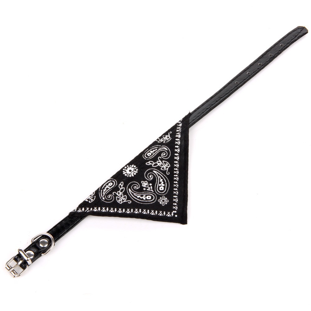 F52314B8D01D207698F14B81F4D6A8